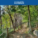 길따라행복 이미지