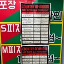 레트로지 이미지