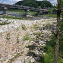 마리장풍숲 이미지