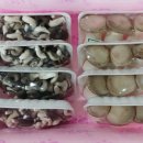 경현농장 이미지