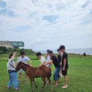 (주) 브이아이피투어 | 2025년 서울도시과학기술고, 제주도 2박3일-2일차