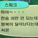 자매미용타운 - 춘천시 | 행복을 지키려 한숨을 참는 스파크 씨처럼