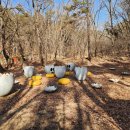 중간자(안양) 이미지