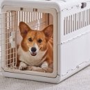 반려켄넬 이미지