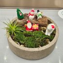 더샾(THE) | 더샵갤러리 테라리움 전시 예약 방법과 후기부터 주차 정보까지 총정리 무료데이트 가능