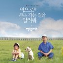 안녕바다6 이미지