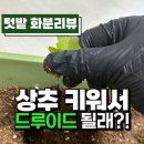 영춘축산
