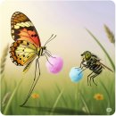 달콤한 솜사탕 - 문경시 | 달콤한 솜사탕