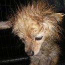 진보면사무소 이미지