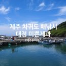 영락제과 | 제주 투어패스 차귀도 배낚시 준비물 미쁜제과 대정 돌고래 스팟