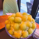 빙수사랑 | 🍧 망원동 빙수 맛집 허니빙스, 명품메론 빙수 내돈내산 후기 / 허니빙스