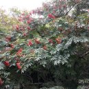 하늘연못 이미지