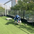 지디파크 이미지