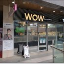 와우뷰티&브로우 이미지