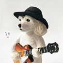 어게인 | 260124 싱긴어게인 의정부 콘서트 후기