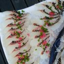 명품초밥 이미지