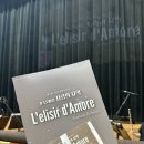 사랑의묘약 | 🎭제9회 늠내 클래식 축제 - 가족오페라 《사랑의 묘약》 관람 후기 ⭐️오페라 입문자 추천!⭐️