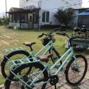 스테이서프픽 이미지