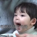 카페해피니스