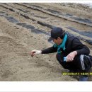 로사의집 이미지