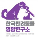 한국온라인광고연구소 이미지