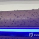 한강화학(주) - 20010 | 한강화학(주)