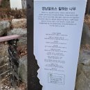 양천천 | 65년 산악방 번개 산행 간월산 ㅡ후기 ㅡ
