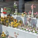 태종로2(남) | 경주는 벚꽃의 도시 🌸