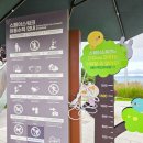 이마트24 포항환호등대점 | 포항 가볼만한곳 동해 바다 드라이브 추천 호미곶 영일대 스페이스워크