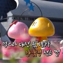 유성분식 이미지