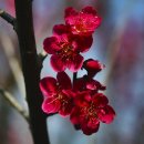 용석농장 이미지