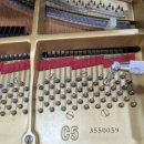 소리숲음악학원 이미지