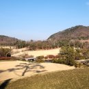 소피아그린 이미지