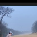 라비돌
