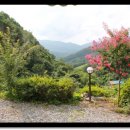 다산흑염소농장 이미지