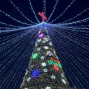 창원광장 앞 중앙대로 이미지