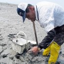 압해 동서리 선돌 이미지