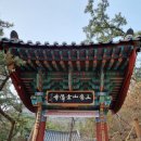 금선사 템플스테이