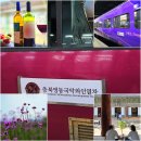 국악와인열차 타고 국내 당일치기 여행 고창 라벤더 축제&amp; 선운사/행복을주는사람들