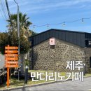 만다리노 | 제주 동쪽 코스 추천 | 귤체험 말체험 조천카페 만다리노카페 후기