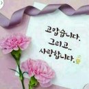 시창작&시낭송 이미지