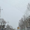 엉클슈즈 이미지