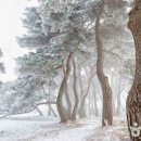 (주)본비코리아 이미지