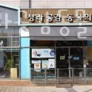 청라 공감 동물의료센터 이미지