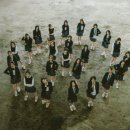 트리플에스 이데일리