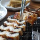 비장어 장어 이미지