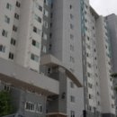 강남1길(정하동) 이미지