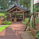 초록요양원 이미지