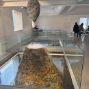 경복궁역 통의동 대형카페 추천: 서촌 이도림 운영정보 및 후기(서촌 나들이 코스 포함)