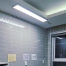 러블리안 이미지